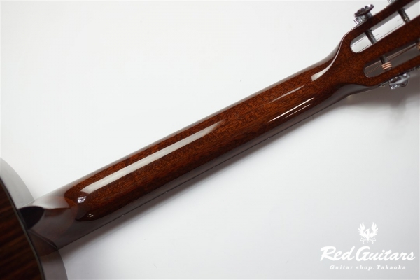 Model-00 Indian Rosewood